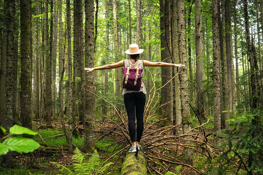 The Healing Power of Nature: Exploring the Benefits of Spending Time Outdoors