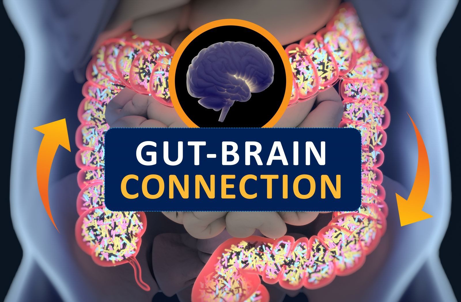 Unlocking the Gut-Brain Connection: How Gut Health Impacts Overall Well-being