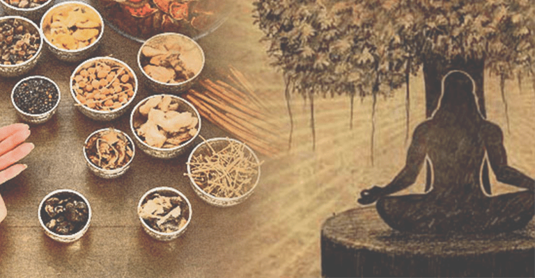 Exploring the Timeless Wisdom of Ayurveda and Traditional Chinese Medicine